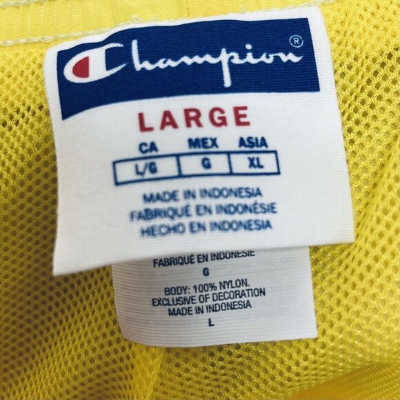 Champion beach Short Size Large Men’s Warm Up Mesh Lining Multicolor Striped New - Picture 3 of 11